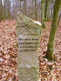 Mindestenen i Roden Skov. Foto S&oslash;ren Gylck. (480Kb)