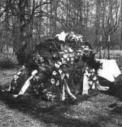 Handkes kiste i skoven ved �huset