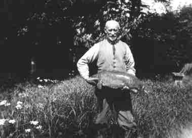 Handke med stor moderkarpe.