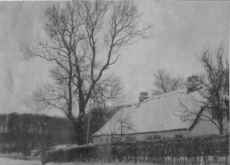 Prinsessehuset, Handkes f&oslash;rste bolig